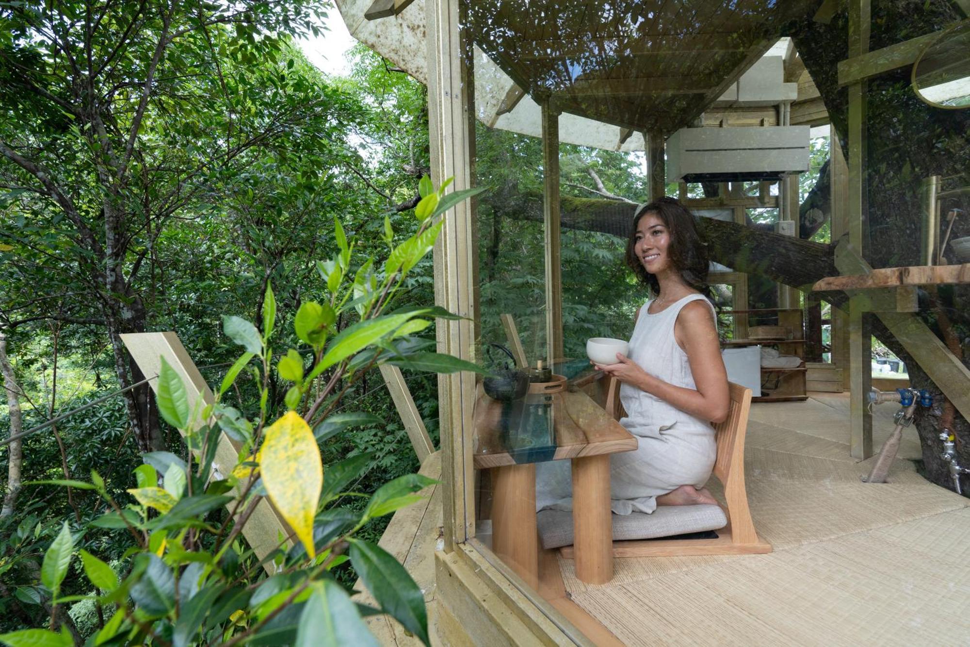 Treeful Treehouse Sustainable Resort Nago Exterior foto